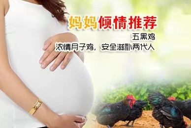 月子鸡—孕妇吃（2区）