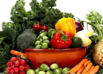 大棚绿色健康蔬菜